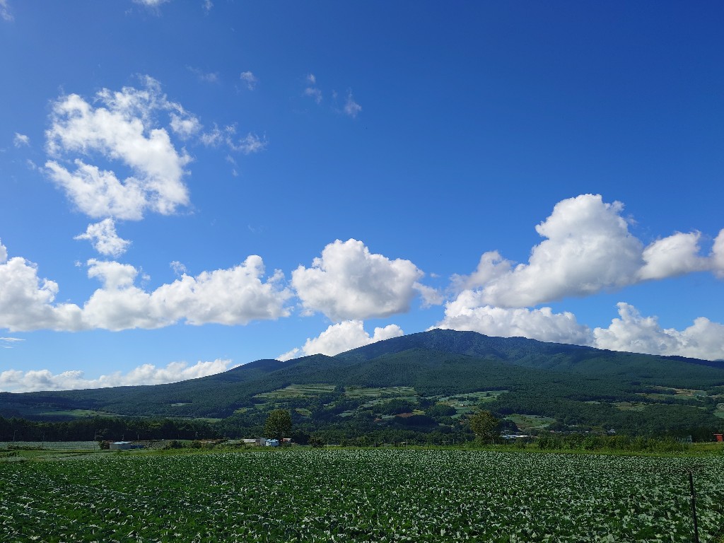 群馬県 長野原の旅